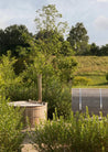 Wooden hot tub in a natural setting with trees and open sky