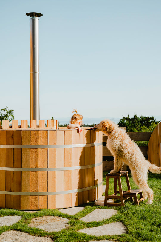 the dog is looking at a child who is chilling in hot tub 