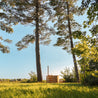 Cedar hot tub on a field under trees