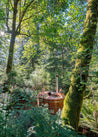 Wooden hot tub nestled among trees in a lush forest